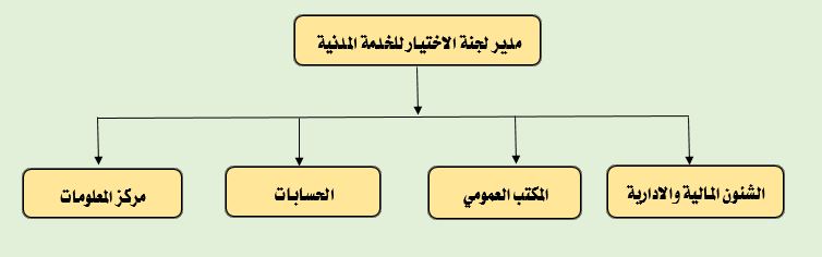 لجنة الاختيار