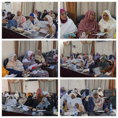 وزارة المالية بالشراكة مع المجلس الاعلى للتخطيط الاستراتيجي تختتم دورة عمل اعداد الخطة والتقرير السنوي